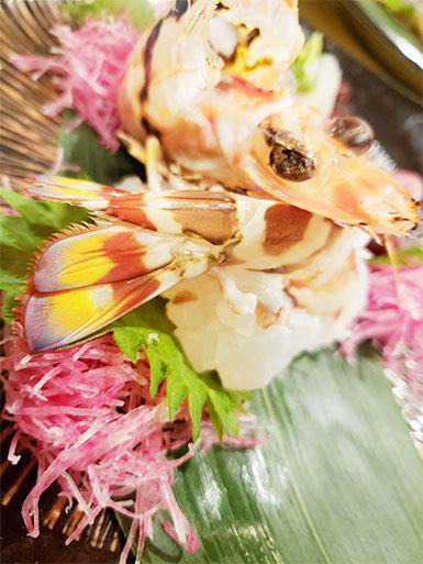 ー海鮮割烹のコース料理で味わう贅沢なひとときー